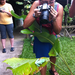 Gemma photographing the red eye tree frog
