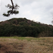 DSCF3181_R.JPG