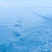 Our kind of seas
