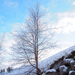 rios_finland_norway_00096.jpg