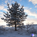 rios_finland_norway_00111.jpg