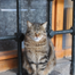 DSC_7668.JPG