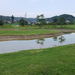 東北一周旅行 062_R.jpg