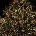 rios_tokyo_0113.jpg