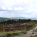 DSC_0004.JPG