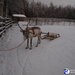 rios_finland_norway_00053.jpg