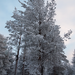 rios_finland_norway_00129.jpg