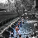 Voyage de Noces - Indonesia Juin2010 (901)-1.JPG
