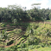 Voyage de Noces - Indonesia Juin2010 (876).JPG