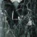 fcc_09.jpg