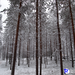 rios_finland_norway_00006.jpg