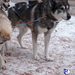 rios_finland_norway_00019.jpg