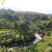 Voyage de Noces - Indonesia Juin2010 (1040).JPG