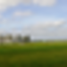 DSC02843.JPG