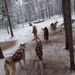 rios_finland_norway_00015.jpg