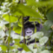 rwanda_08_07_93.jpg
