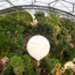 Eden Project 3 by APEX.jpg.jpg