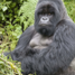 rwanda_08_07_90.jpg