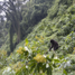 rwanda_08_07_79.jpg