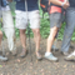 MUD.JPG