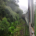 DSCF3361.JPG
