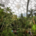 Eden Project 8 by APEX.jpg.jpg