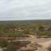 View of Kruger National Park.