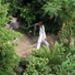 Eden Project 9 by APEX.jpg.jpg