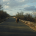 Rhino walking pass us on the road.