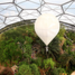 Eden Project by APEX.jpg