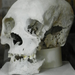15 - crânio deformado, estendido, no museu de arqueologia.JPG