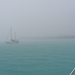 Neighbors in the mist