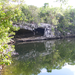 Jungle blue hole