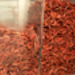 Better than popcorn, dried shrimp is a staple ingredient for Northeastern Brazilian cooks.