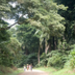 uganda_09_07_75.jpg