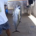 Eddie and the blackfin