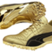 usain_bolt_100m_spike.jpg