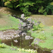 東北一周旅行 129_R.jpg