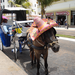 DSC00256.JPG