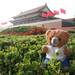 Forbidden City - China.JPG