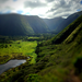 Looking up the Waipio Valley for the trail